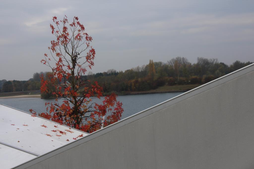 הוסטל Kinrooi Sailcenter Limburg מראה חיצוני תמונה